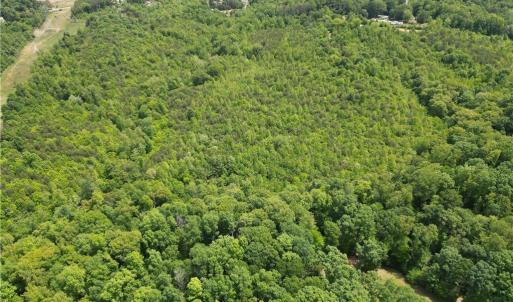 Photo #37 of Purcell, Reidsville, NC 65.1 acres