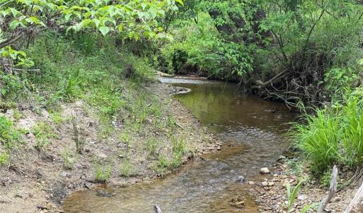 Photo #15 of Purcell, Reidsville, NC 65.1 acres