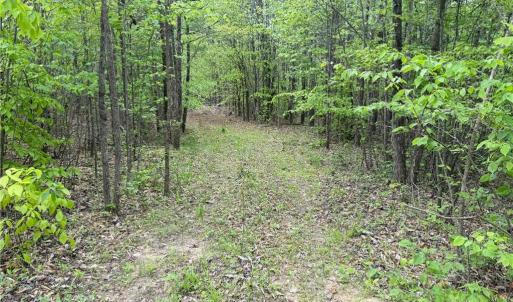 Photo #11 of Purcell, Reidsville, NC 65.1 acres