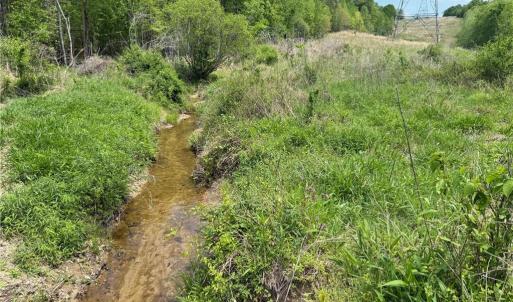 Photo #19 of Purcell, Reidsville, NC 65.1 acres