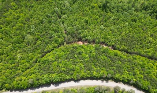Photo #40 of Purcell, Reidsville, NC 65.1 acres