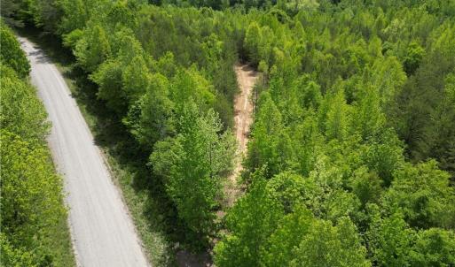 Photo #31 of Purcell, Reidsville, NC 65.1 acres
