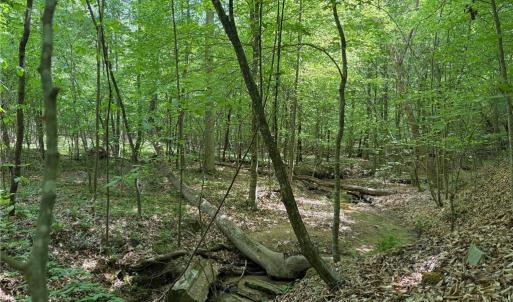 Photo #29 of Purcell, Reidsville, NC 65.1 acres