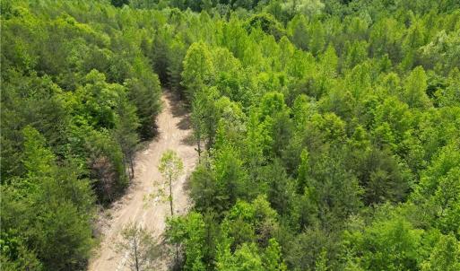 Photo #8 of Purcell, Reidsville, NC 65.1 acres