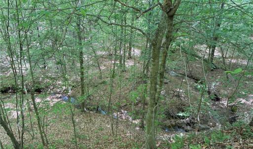 Photo #25 of Purcell, Reidsville, NC 65.1 acres