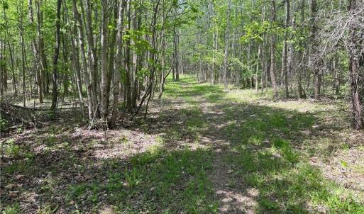 Photo #21 of Purcell, Reidsville, NC 65.1 acres