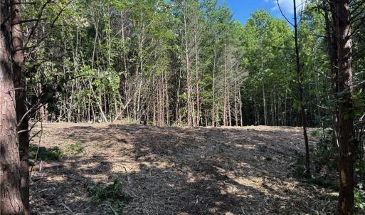 Photo #6 of 64.88 Ac Purcell, Reidsville, NC 64.9 acres