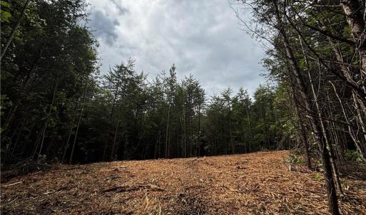 Photo #43 of 64.88 Ac Purcell, Reidsville, NC 64.9 acres