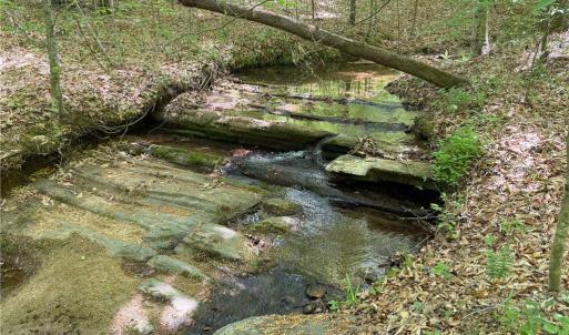 Photo #3 of 64.88 Ac Purcell, Reidsville, NC 64.9 acres