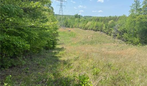 Photo #28 of 64.88 Ac Purcell, Reidsville, NC 64.9 acres