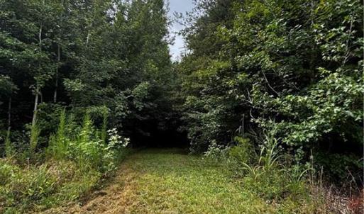 Photo #48 of 64.88 Ac Purcell, Reidsville, NC 64.9 acres