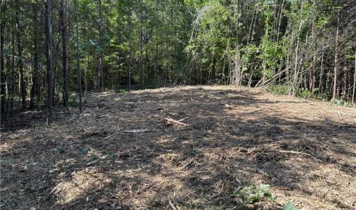 Photo #4 of 64.88 Ac Purcell, Reidsville, NC 64.9 acres