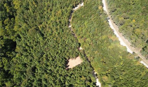 Photo #6 of 64.88 Ac Purcell, Reidsville, NC 64.9 acres