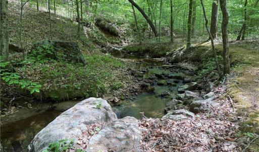 Photo #3 of 64.88 Ac Purcell, Reidsville, NC 64.9 acres