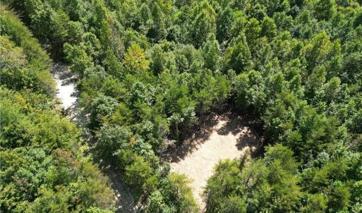 Photo #5 of 64.88 Ac Purcell, Reidsville, NC 64.9 acres