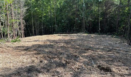 Photo #9 of 64.88 Ac Purcell, Reidsville, NC 64.9 acres