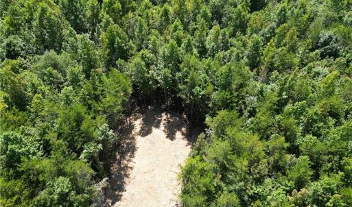 Photo #4 of 64.88 Ac Purcell, Reidsville, NC 64.9 acres