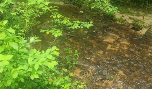 Photo #5 of 214 Sheraton Park, Greensboro, NC 2.0 acres