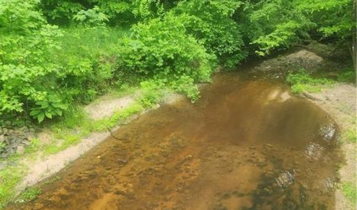 Photo #4 of 214 Sheraton Park, Greensboro, NC 2.0 acres