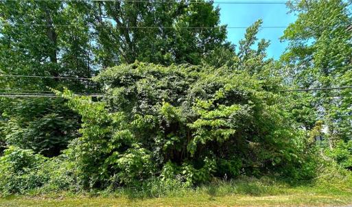 Photo #1 of 4236 Wayne, Greensboro, NC 0.4 acres