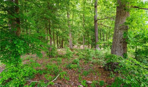 Photo #9 of Lot 10 Eagle Pointe, Norwood, NC 1.1 acres
