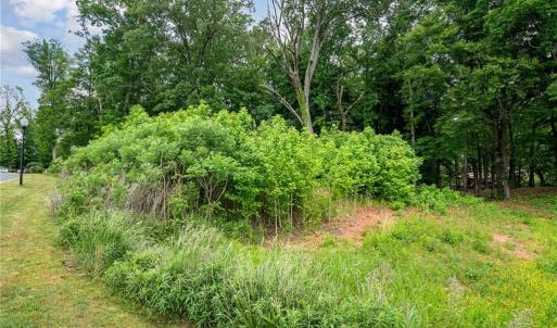 Photo #10 of Lot 10 Eagle Pointe, Norwood, NC 1.1 acres