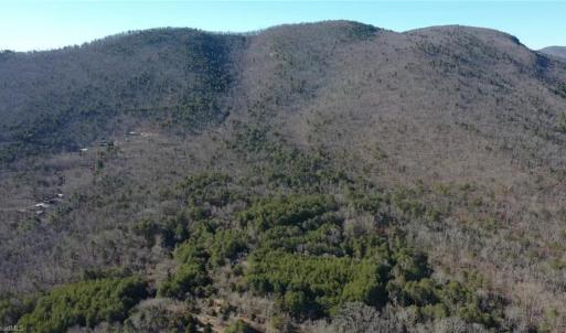 Photo #23 of 118 acres - Hanging Rock Park, Danbury, NC 118.0 acres
