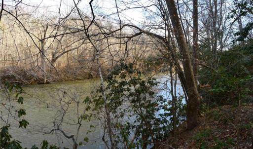 Photo #6 of 90 acres west tract - NC Highway 89, Danbury, NC 90.0 acres