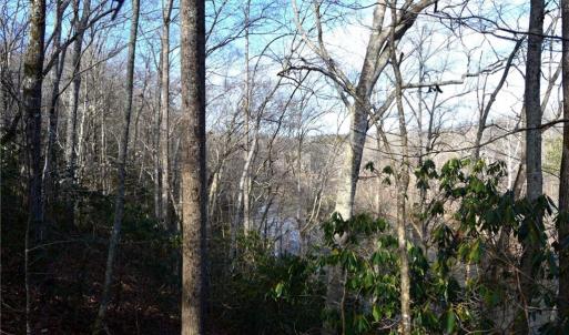 Photo #10 of 90 acres west tract - NC Highway 89, Danbury, NC 90.0 acres
