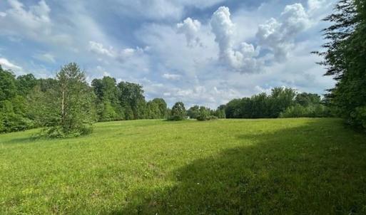 Photo #23 of 7111 Faucette Farms, Browns Summit, NC 16.0 acres