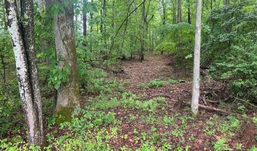 Photo #12 of 7111 Faucette Farms, Browns Summit, NC 16.0 acres