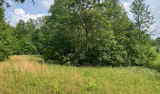 Photo #26 of 7111 Faucette Farms, Browns Summit, NC 16.0 acres