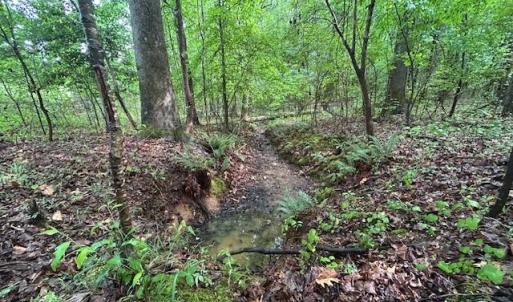 Photo #20 of 7111 Faucette Farms, Browns Summit, NC 16.0 acres