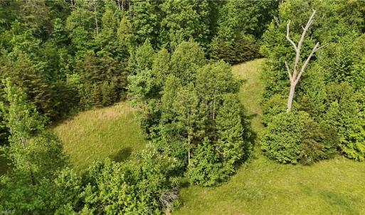 Photo #10 of 7111 Faucette Farms, Browns Summit, NC 16.0 acres