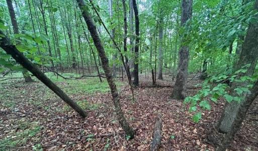 Photo #14 of 7111 Faucette Farms, Browns Summit, NC 16.0 acres