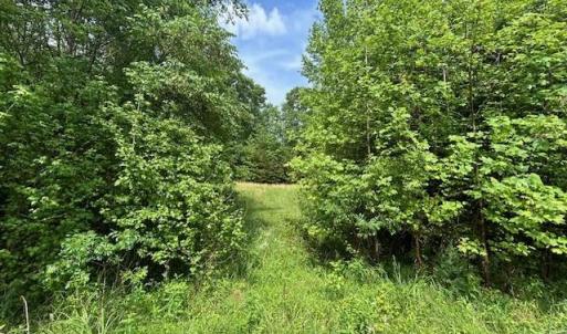 Photo #27 of 7111 Faucette Farms, Browns Summit, NC 16.0 acres