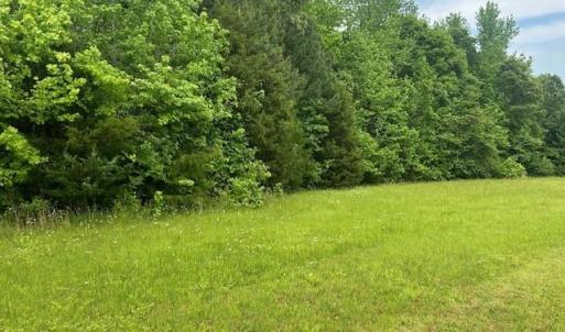 Photo #17 of 7111 Faucette Farms, Browns Summit, NC 16.0 acres