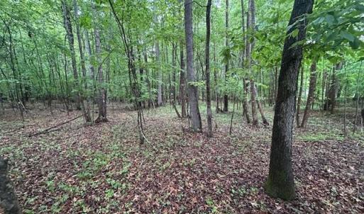 Photo #16 of 7111 Faucette Farms, Browns Summit, NC 16.0 acres