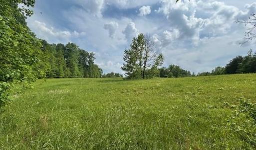 Photo #22 of 7111 Faucette Farms, Browns Summit, NC 16.0 acres