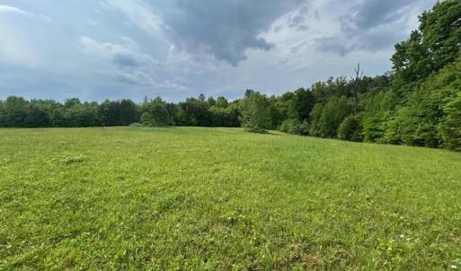 Photo #28 of 7111 Faucette Farms, Browns Summit, NC 16.0 acres