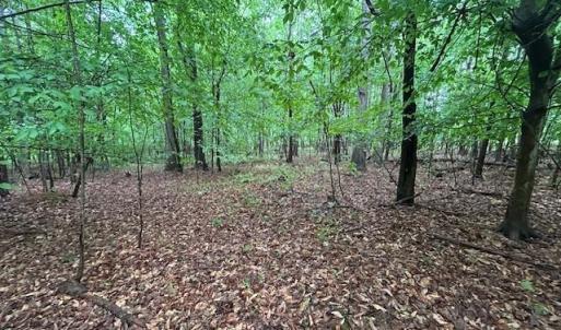 Photo #18 of 7111 Faucette Farms, Browns Summit, NC 16.0 acres