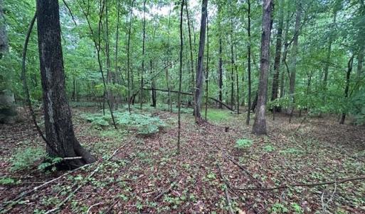 Photo #15 of 7111 Faucette Farms, Browns Summit, NC 16.0 acres
