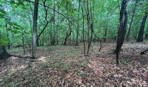 Photo #19 of 7111 Faucette Farms, Browns Summit, NC 16.0 acres