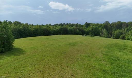 Photo #8 of 7111 Faucette Farms, Browns Summit, NC 16.0 acres