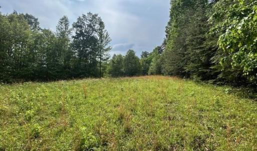 Photo #25 of 7111 Faucette Farms, Browns Summit, NC 16.0 acres