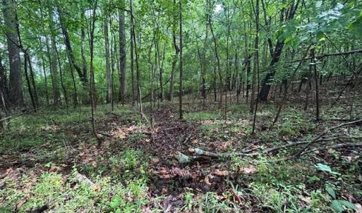 Photo #21 of 7111 Faucette Farms, Browns Summit, NC 16.0 acres