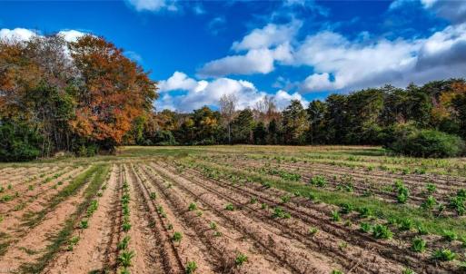 Photo #9 of 501 Barley, Reidsville, NC 88.6 acres