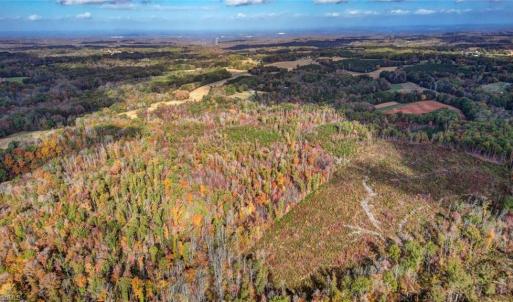 Photo #10 of 501 Barley, Reidsville, NC 88.6 acres