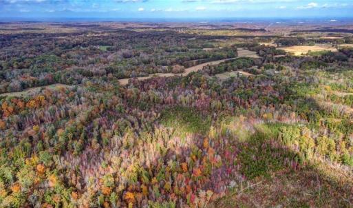 Photo #11 of 501 Barley, Reidsville, NC 88.6 acres