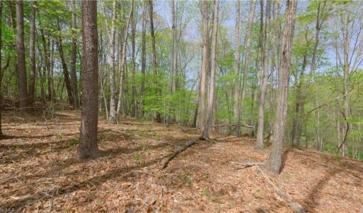 Photo #6 of 3-3 Thomas Farm, King, NC 3.0 acres